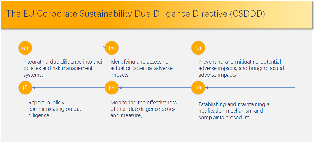 What actions should the companies take to comply with due diligence?