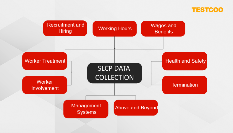 Onsite Verification of SLCP
