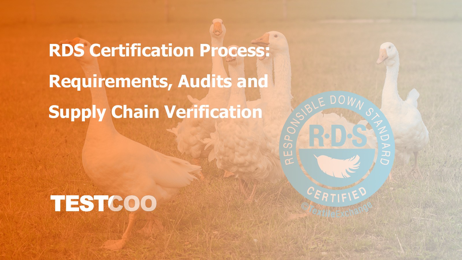 RDS Certification Audits and Supply Chain Verification - Ensuring ethical down and feather sourcing standards