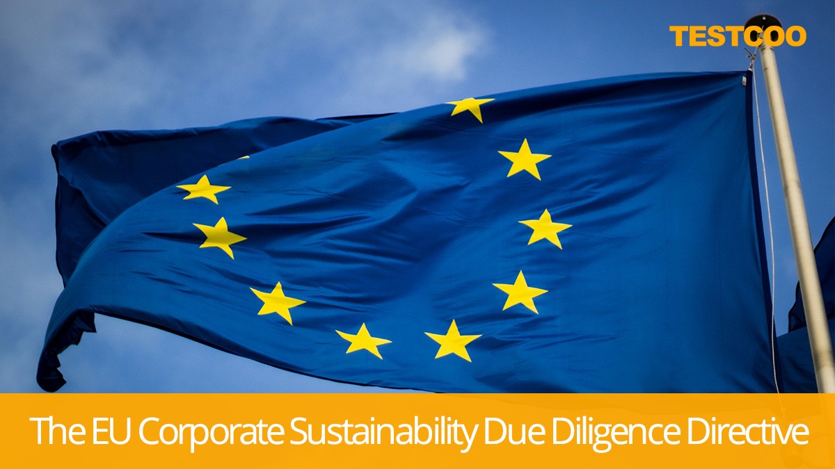 The EU Corporate Sustainability Due Diligence Directive