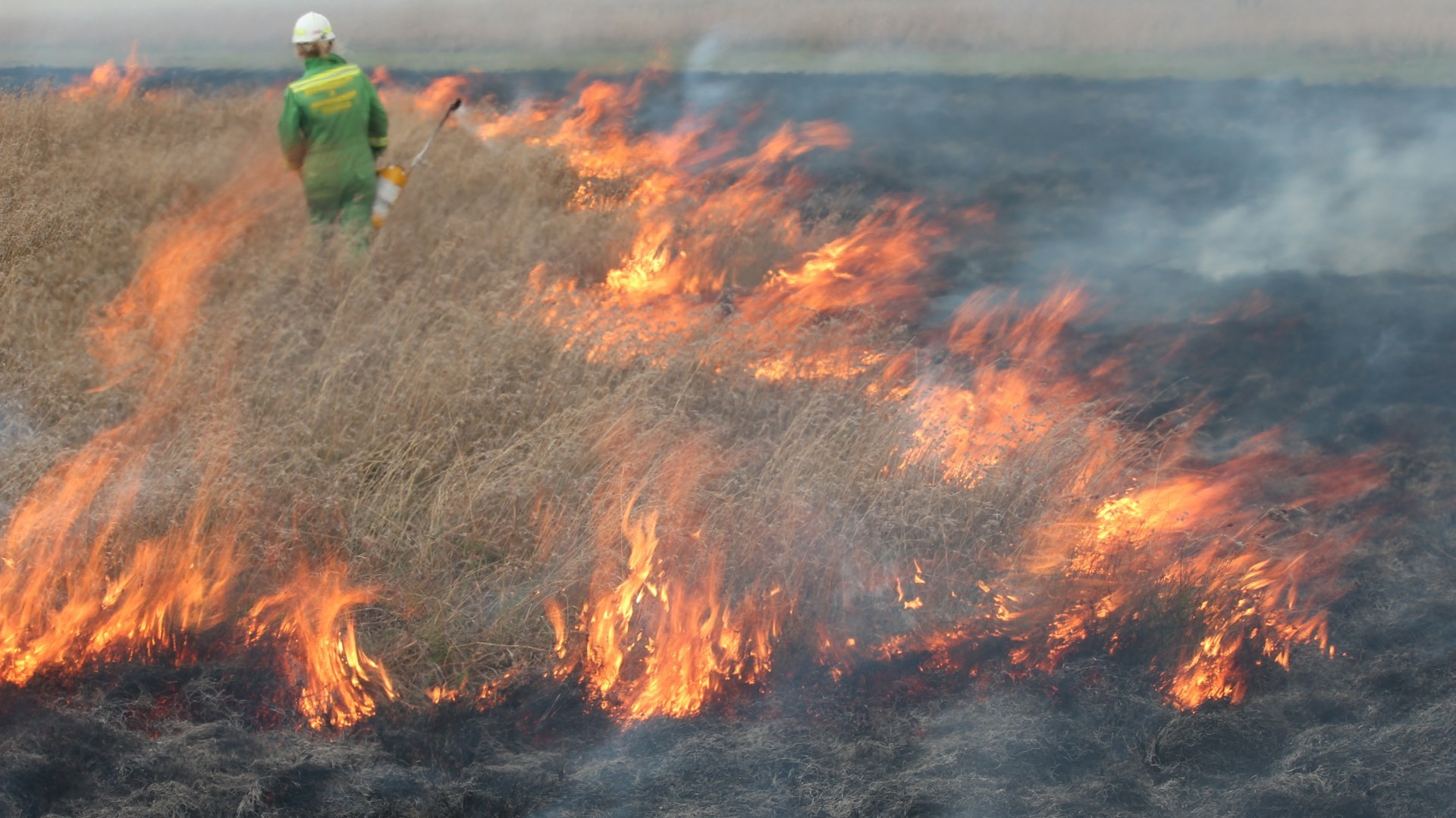 Smoke rising from burning maize residue, highlighting the need for sustainable farming