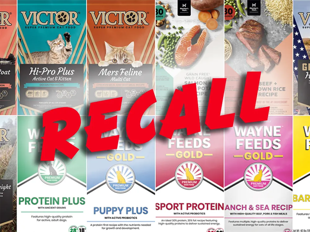 Potentially hazardous pet toys failing chemical safety tests leading to product recall