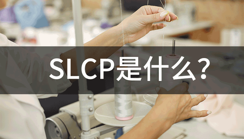SLCP是什么